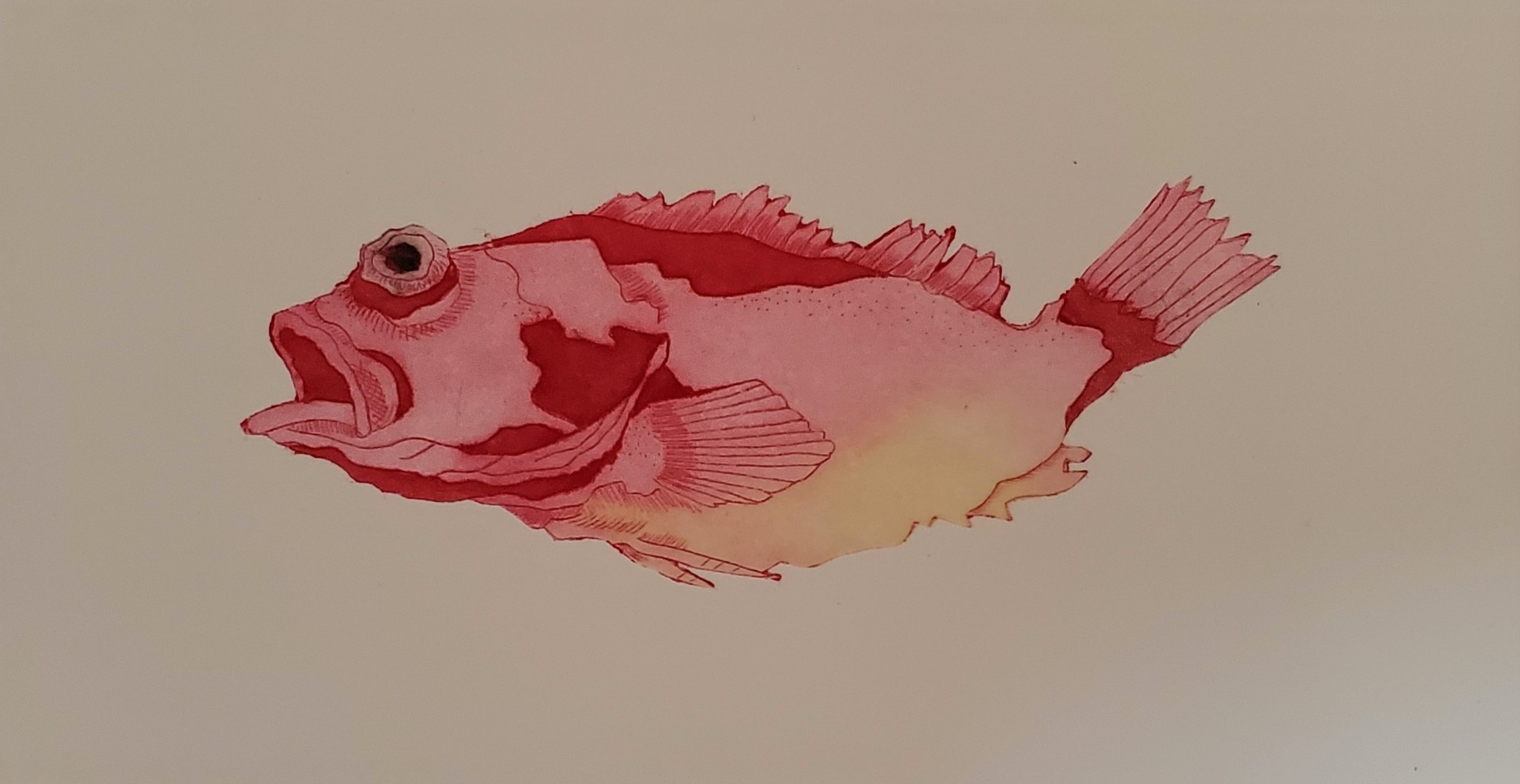 Tetra Pak Print 銅版画 Etching - Yukiko Kishi Printmaker